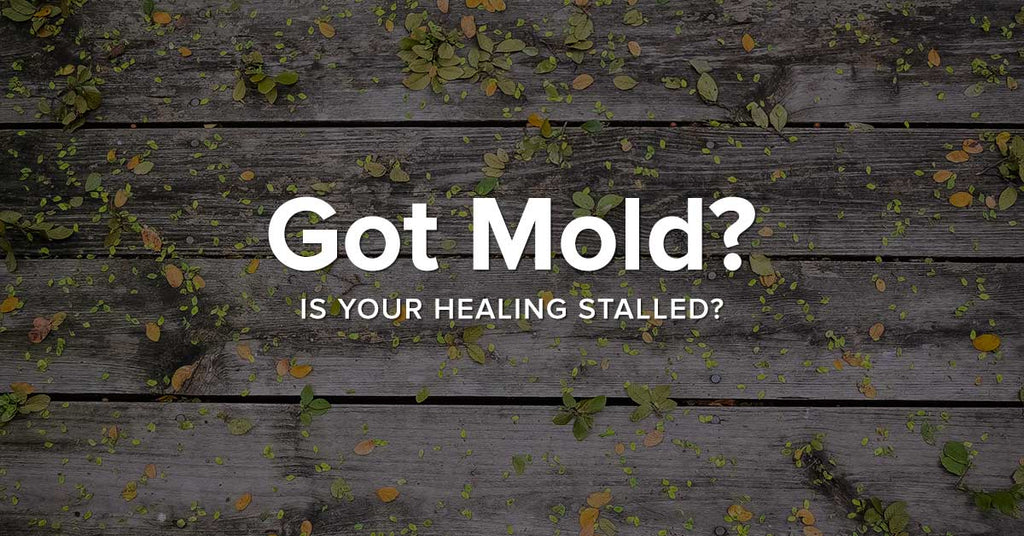 Is MOLD affecting your ability to heal?