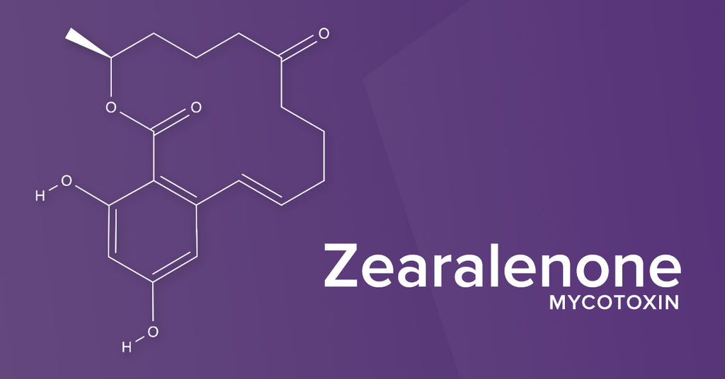 All About the Mycotoxin Zearalenone