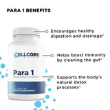 Intestinal Permeability Kit