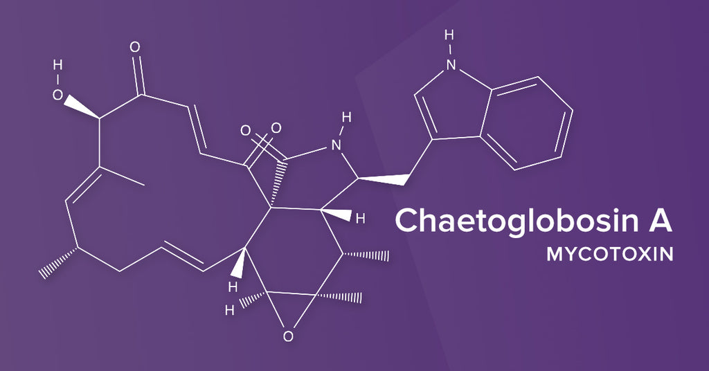 All About the Mycotoxin Chaetoglobosin A