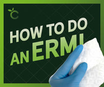 How To Do an ERMI