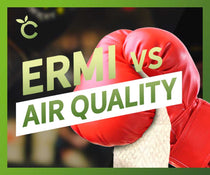 ERMI vs Air Quality Testing - Who Wins?