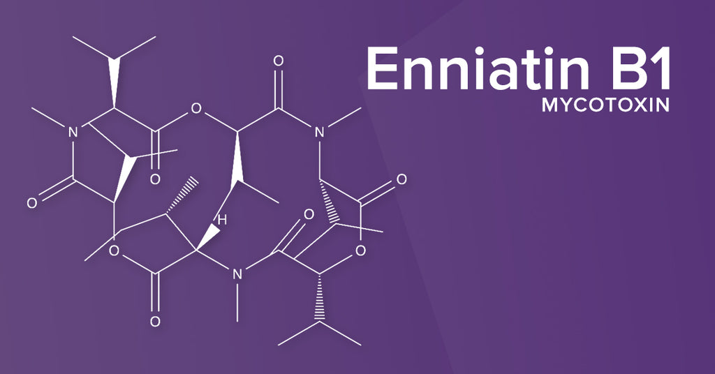 All About the Mycotoxin Enniatin B1