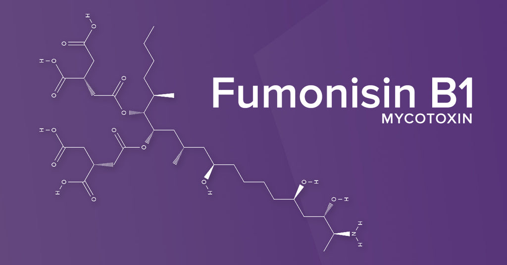 All About the Mycotoxin Fumonisin B1