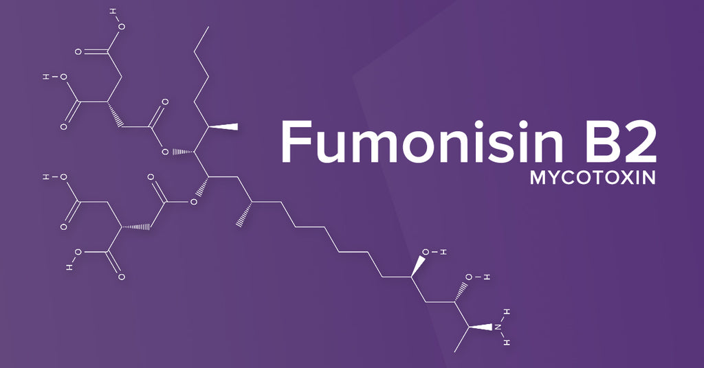 All About the Mycotoxin Fumonisin B2