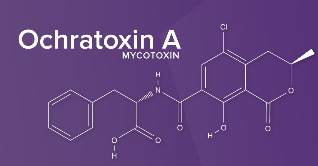 All About the Mycotoxin Ochratoxin A