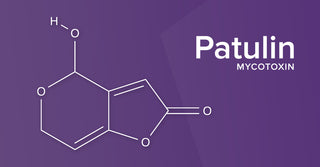 All About the Mycotoxin Patulin