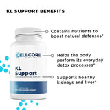 Phase 1 - Comprehensive Protocol