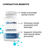 Step 4 - Foundational Protocol