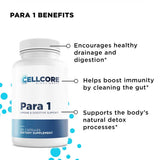 Step 2: Gut & Immune Support