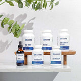 Phase 3 - Comprehensive Protocol