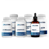 Phase 3 - Comprehensive Protocol