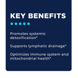 Step 4 - Foundational Protocol
