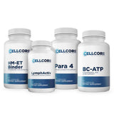 Step 4 - Foundational Protocol