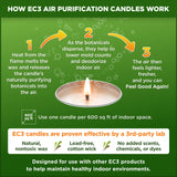 EC3 Mold Candles (2 x Beeswax)
