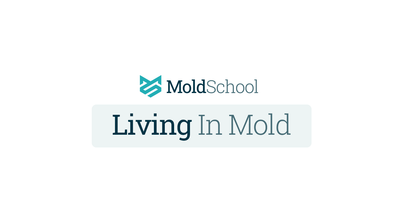 Living In Mold course