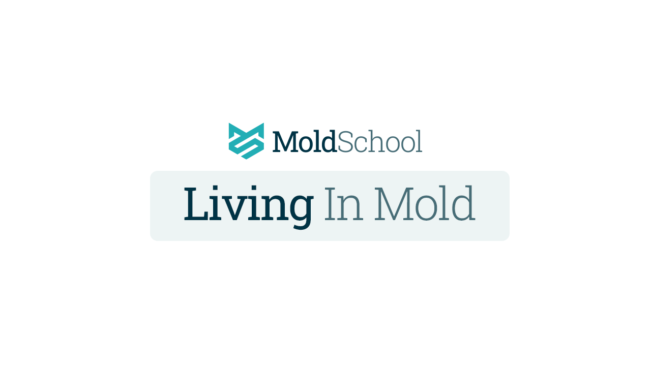 Living In Mold course