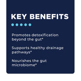 Phase 4A: Systemic Detox