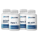 Step 2: Gut & Immune Support