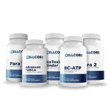 Phase 2 - Comprehensive Protocol