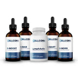 Phase 5: Deeper Immune Support