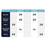 Phase 2 - Comprehensive Protocol