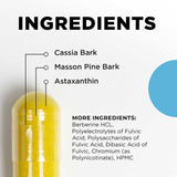 GCO - Gluco Optimizer