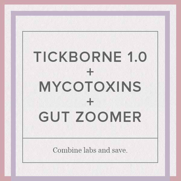 Tickborne 1.0 + Mycotoxins + Gut Zoomer Combo