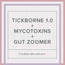 Tickborne 1.0 + Mycotoxins + Gut Zoomer Combo