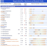 OAT - Organic Acids test