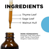 Para 3 - Parasite Formula