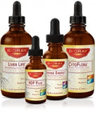 The Detox Quartet (Organic)